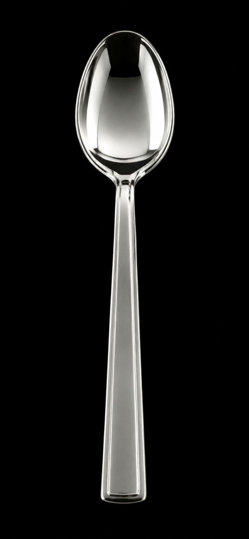 2-Piece Stainless Steel Table Spoon Set – Item #19878