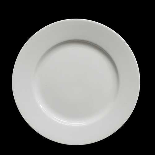 10.5 in ROUND PLATE