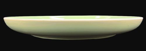 10.5" Light Green Dinner Plate - Item #65076-12