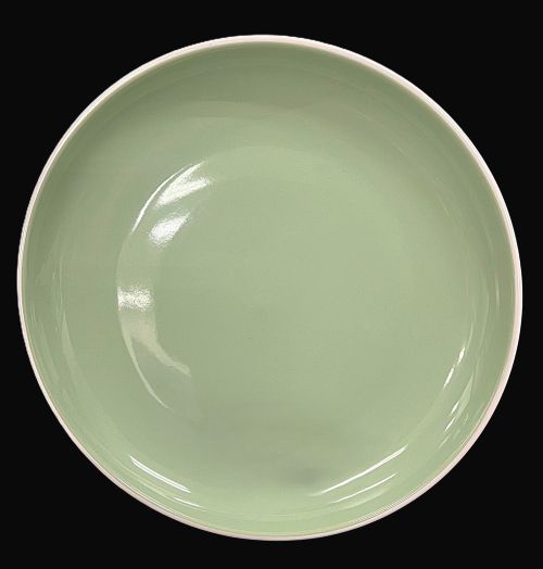 10.5" Light Green Dinner Plate - Item #65076-12