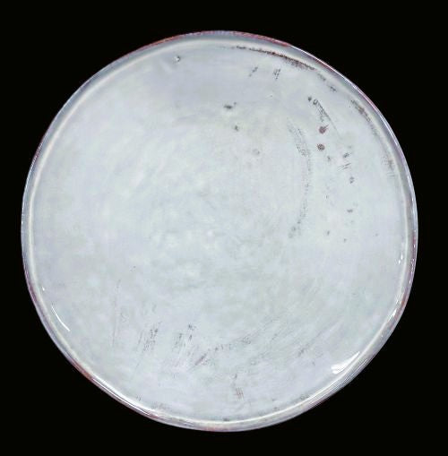 10.5" Dinner Plate - Item #66736