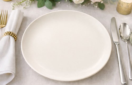 10.5" Ivory Dinner Plate - Item #67726