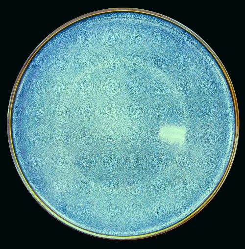 10.5" Sea-Mist Dinner Plate - Item #68097