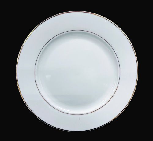 10.5" Dinner Plate Gold Line - Item #68126