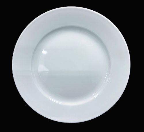 9.5" Dinner Plate - Item #68135