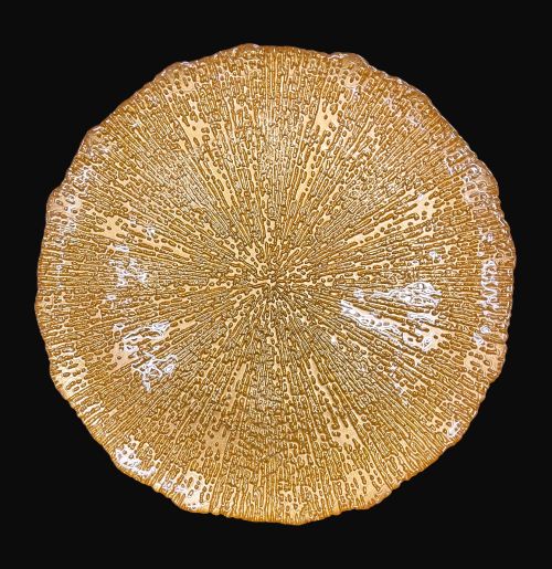 8.25" Chanterelle Gold Saled Plate - Item #68237