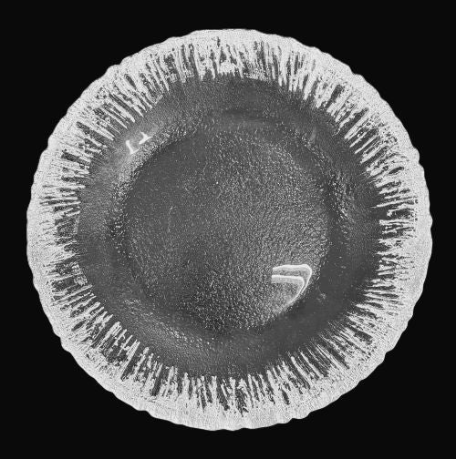 11" Silver Icicle Dinner Plate - Item #68247