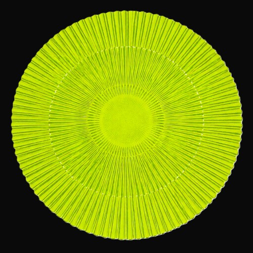 13" Marbella Citron Charger Plate - Item #68294