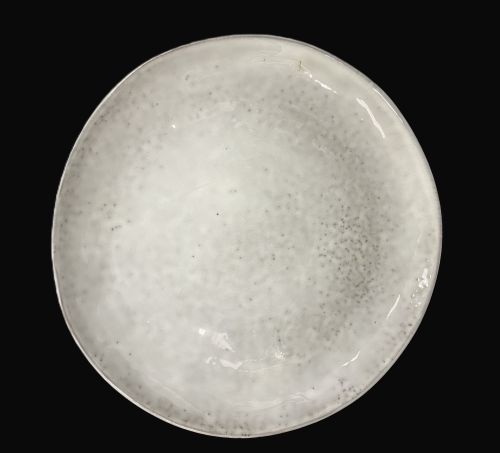 10.5" Moonstruck Dinner Plate - Item #68302-1