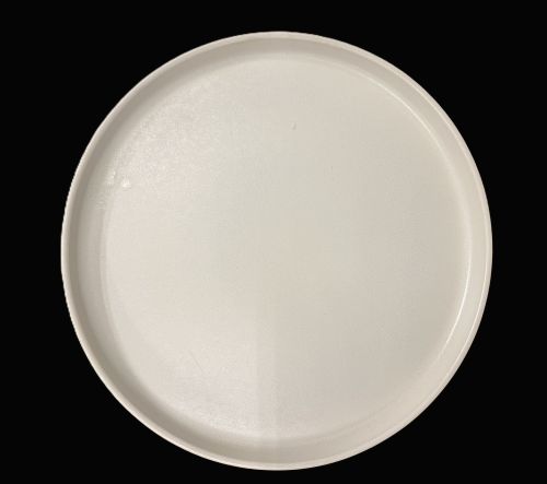 9.25" Beige Plate - Item #68324-1